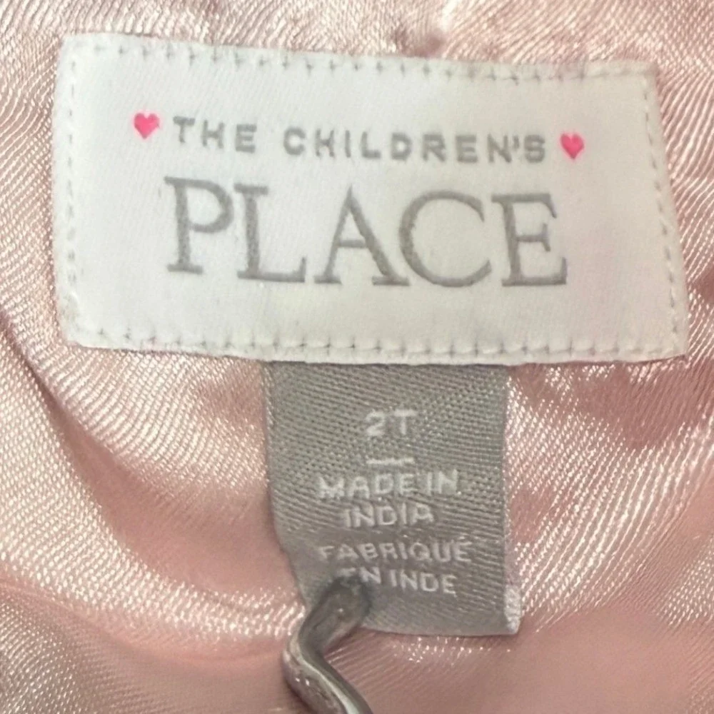The Children's Place Floral Mesh Dress Toddler Girls 2T Pink Black Flocked Party
